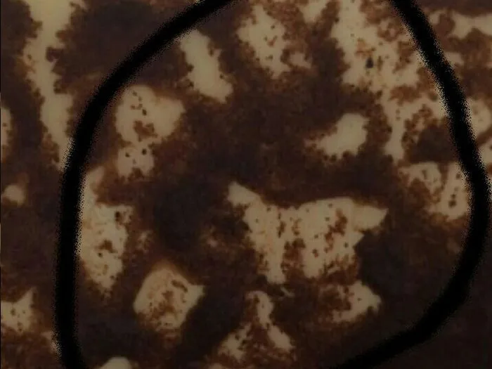 Запись на прием к гадалке в Сочи